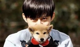 海外娱乐爆料君是谁啊